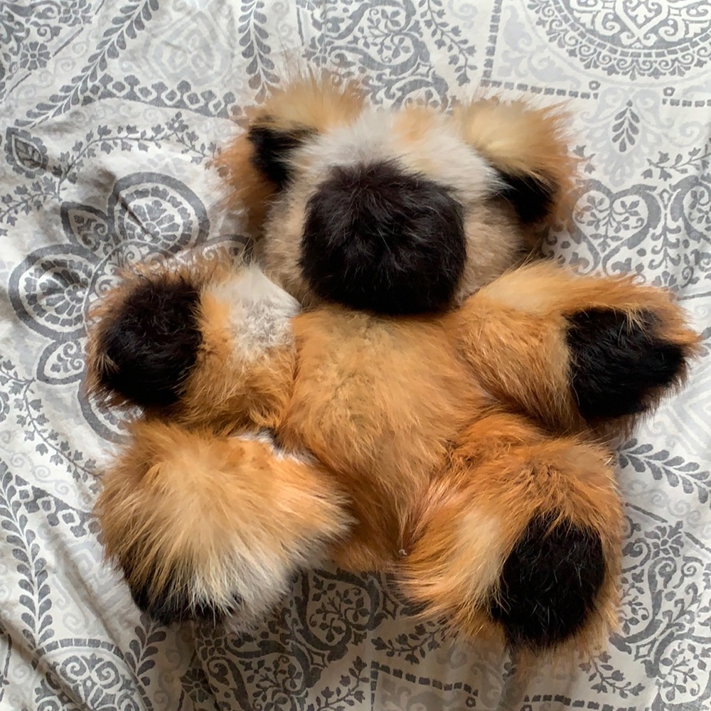 Real Fox Fur Teddy bear